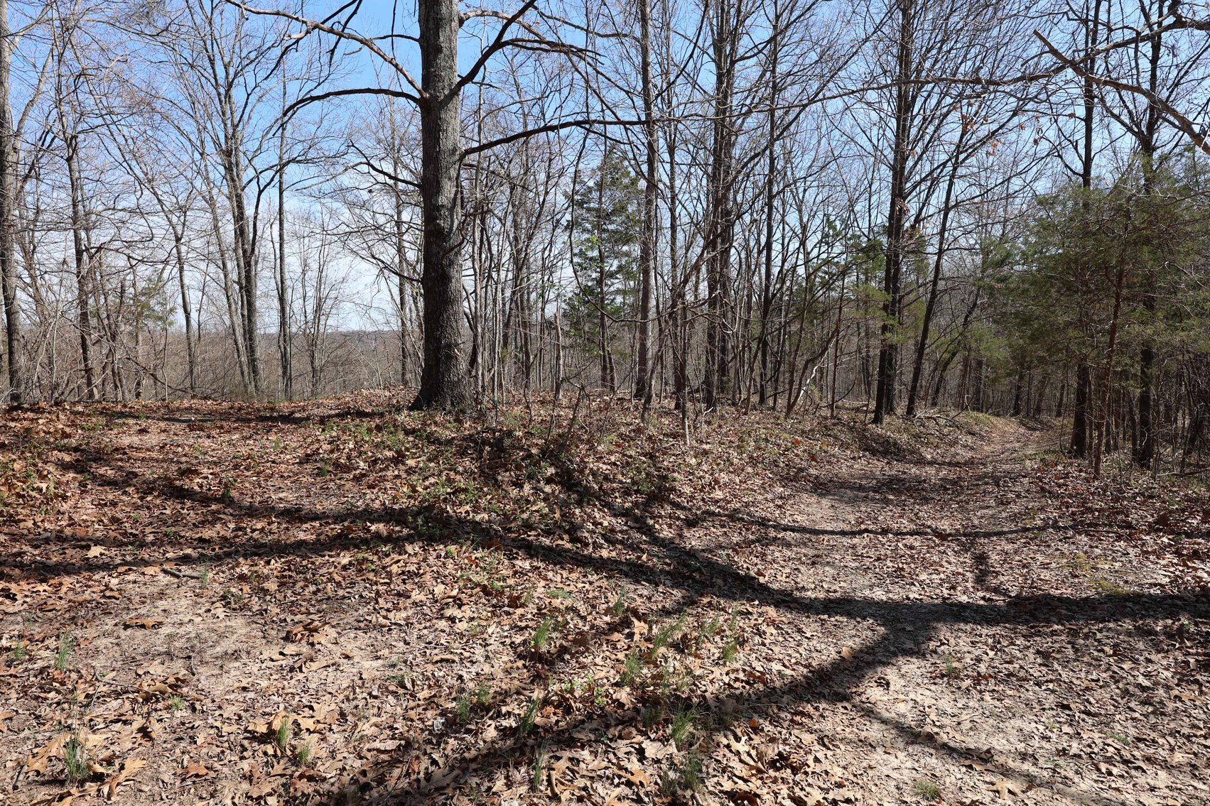 Image for 23.43 Ac +/-, Tract 3, Catalpa Ln, Jackson MO 63755, MLS 26018186