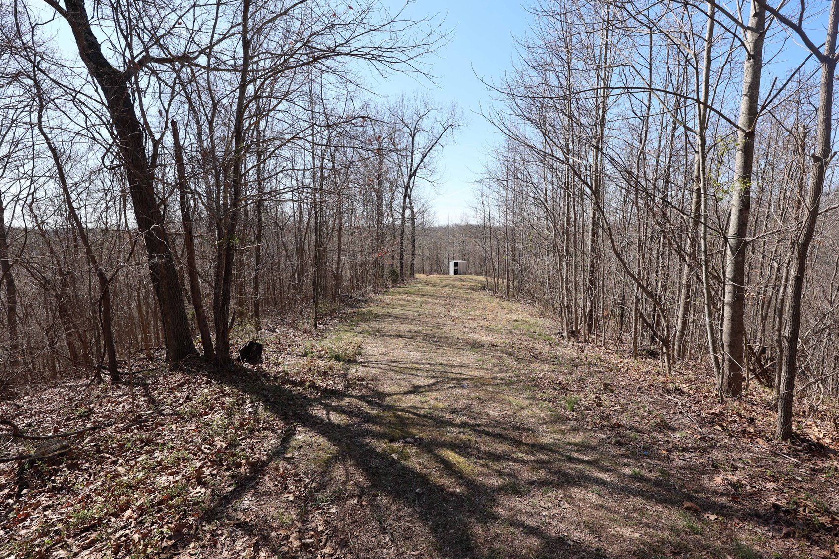 Image for 26.22 Ac +/-, Tract 2, Catalpa Ln, Jackson MO 63755, MLS 26018183