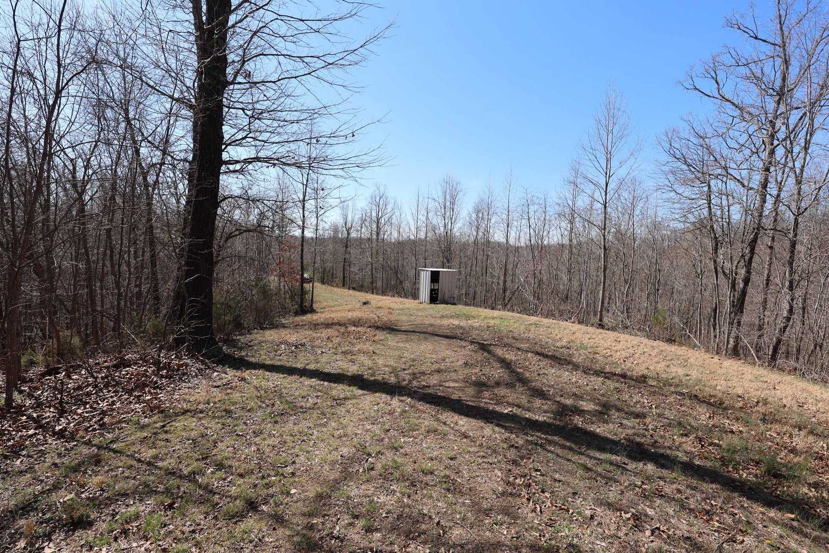 Image for 26.22 Ac +/-, Tract 2, Catalpa Ln, Jackson MO 63755, MLS 26018183