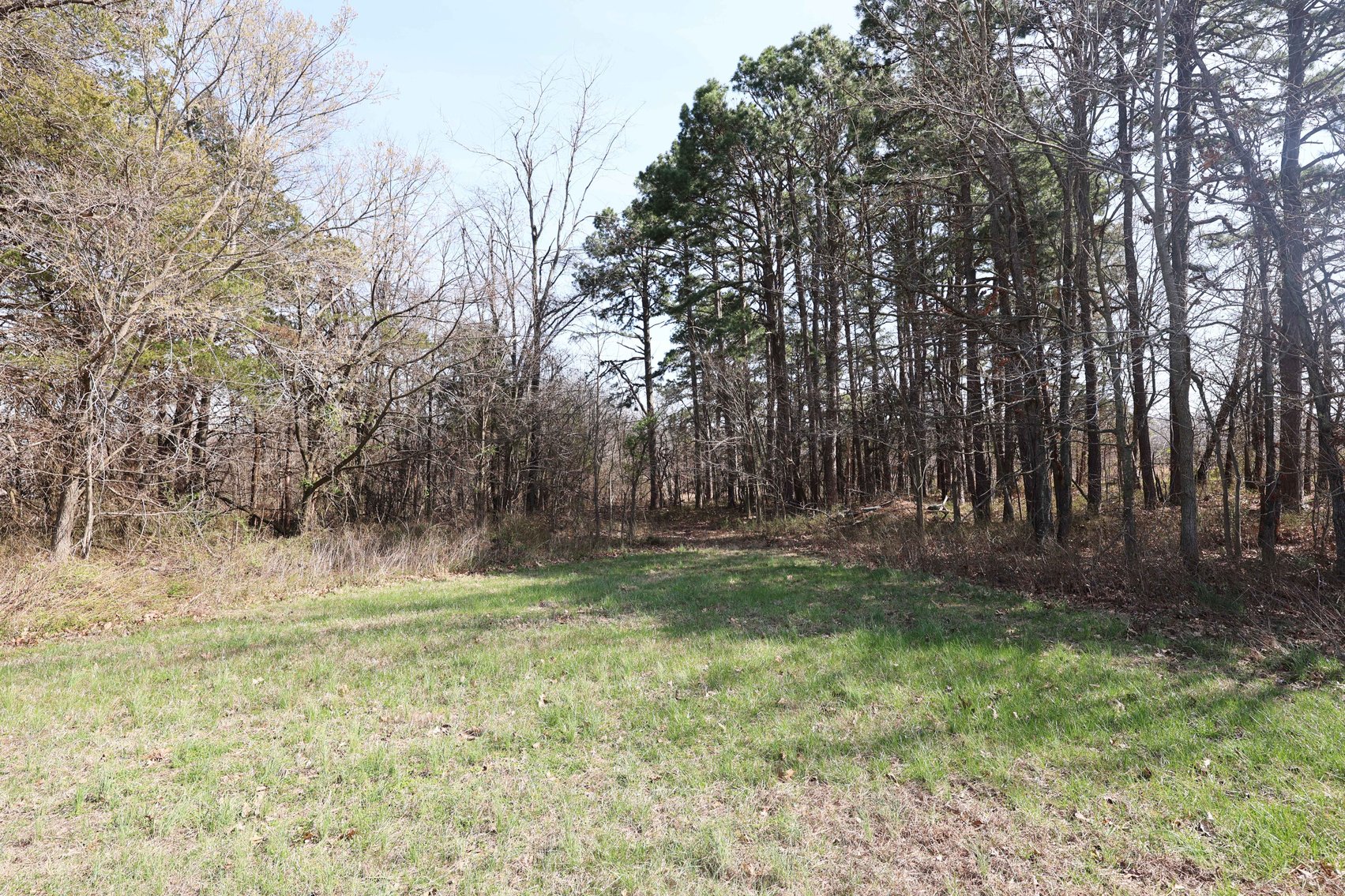 Image for Lot 6 Dreamz Estate Drive, Perryville MO 63775, MLS #26016823