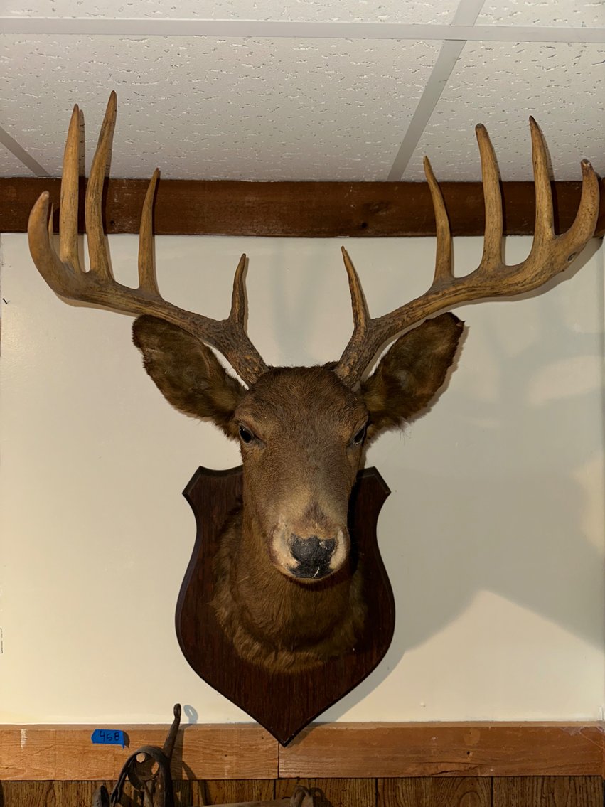 Image for Truby Estate