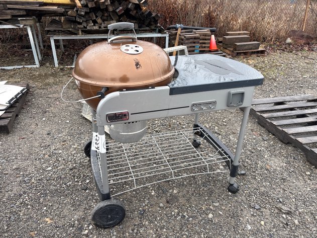 Image for D1. Weber Electric grill
