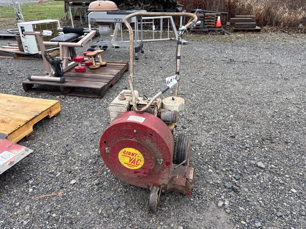 Image for D1. Giant vac