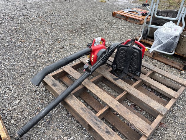 Image for D1. Homelite back pack blower and leaf blower