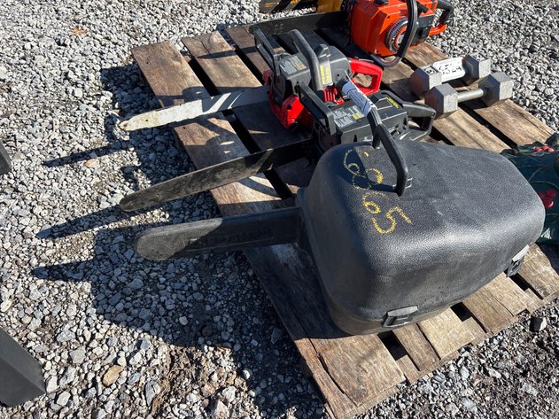 Image for D1. (3) chainsaws