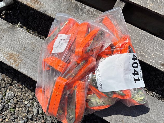 Image for E2. (20) PIECES 2.5CM X 2M RATCHET STRAPS