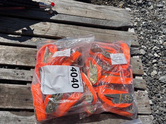 Image for E2. (20) PIECES 2.5CM X 3M RATCHET STRAPS