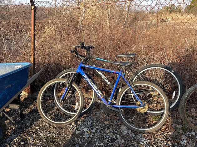 Image for D1. (2) bikes