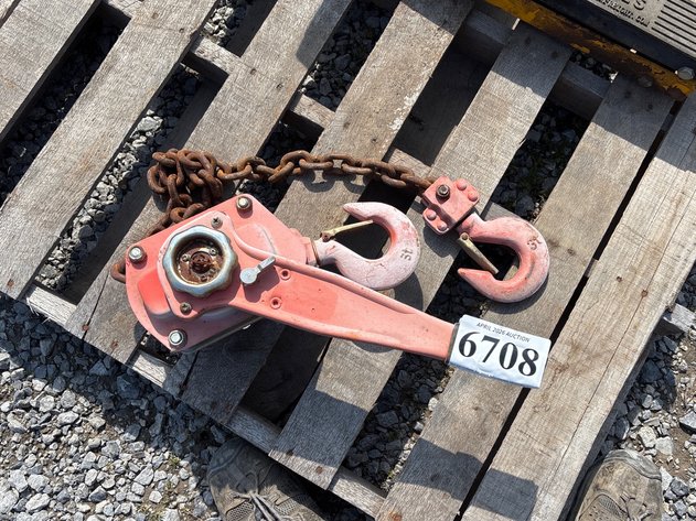 Image for D1. Large chain hoist