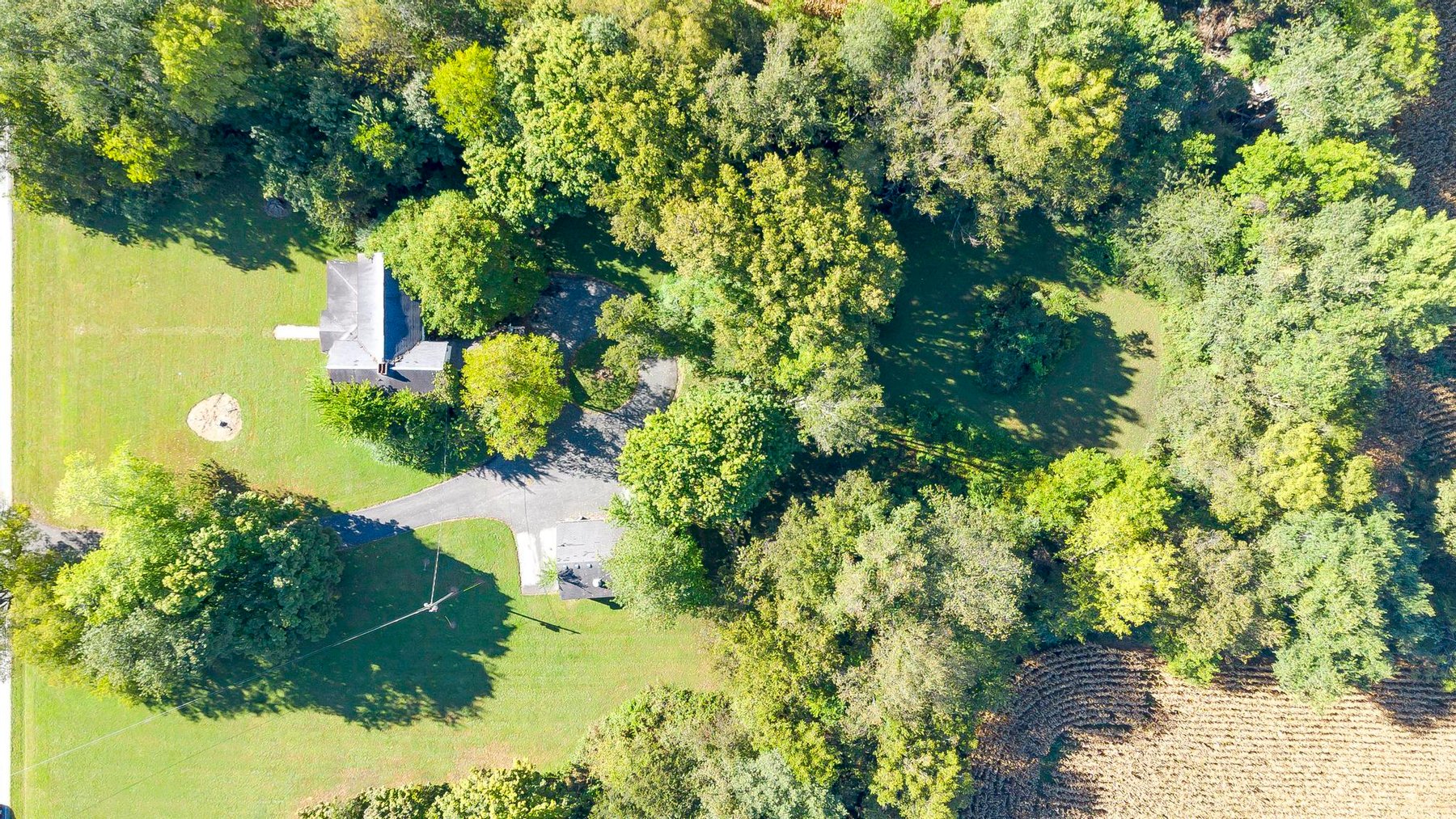 Image for Absolute Land Auction-30+/- Acres (Online Only)