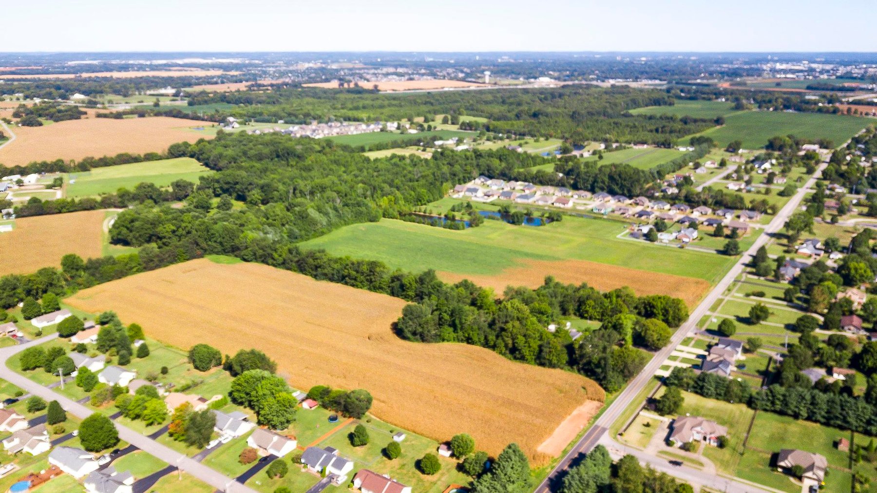 Image for Absolute Land Auction-30+/- Acres (Online Only)