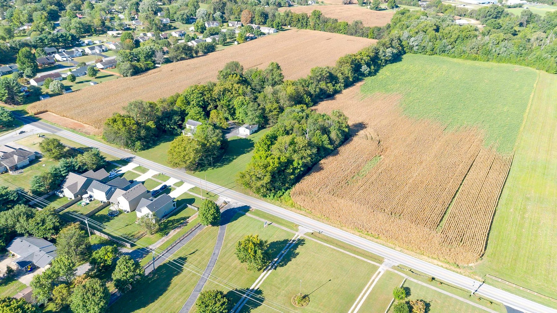 Image for Absolute Land Auction-30+/- Acres (Online Only)