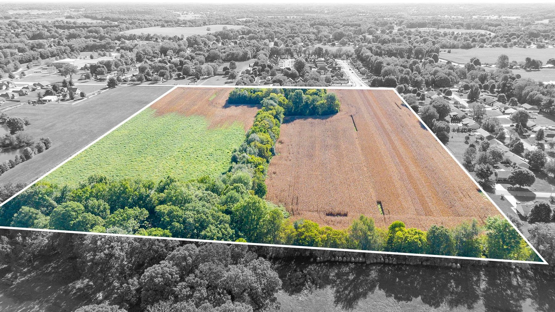 Image for Absolute Land Auction-30+/- Acres (Online Only)