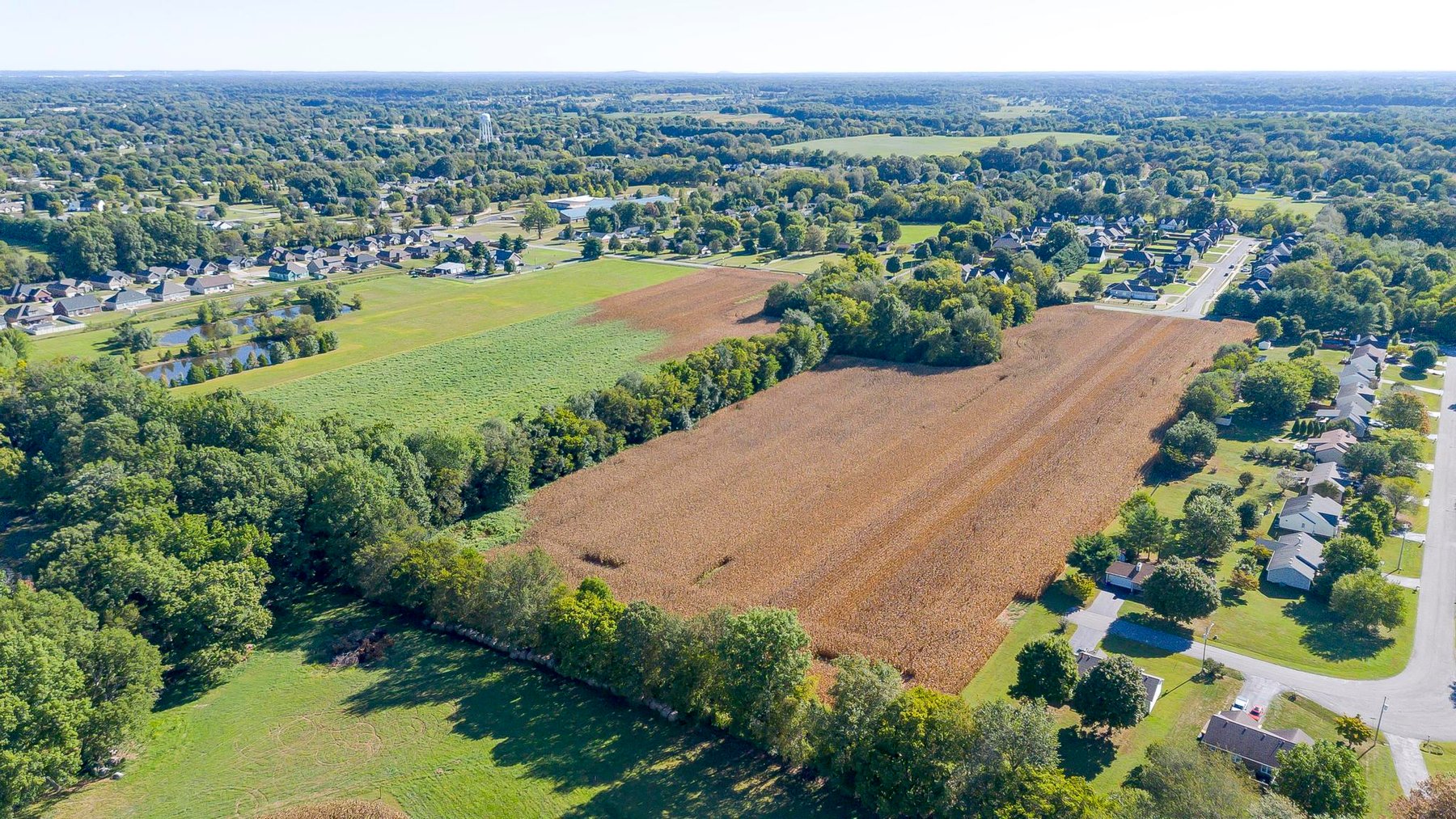 Image for Absolute Land Auction-30+/- Acres (Online Only)