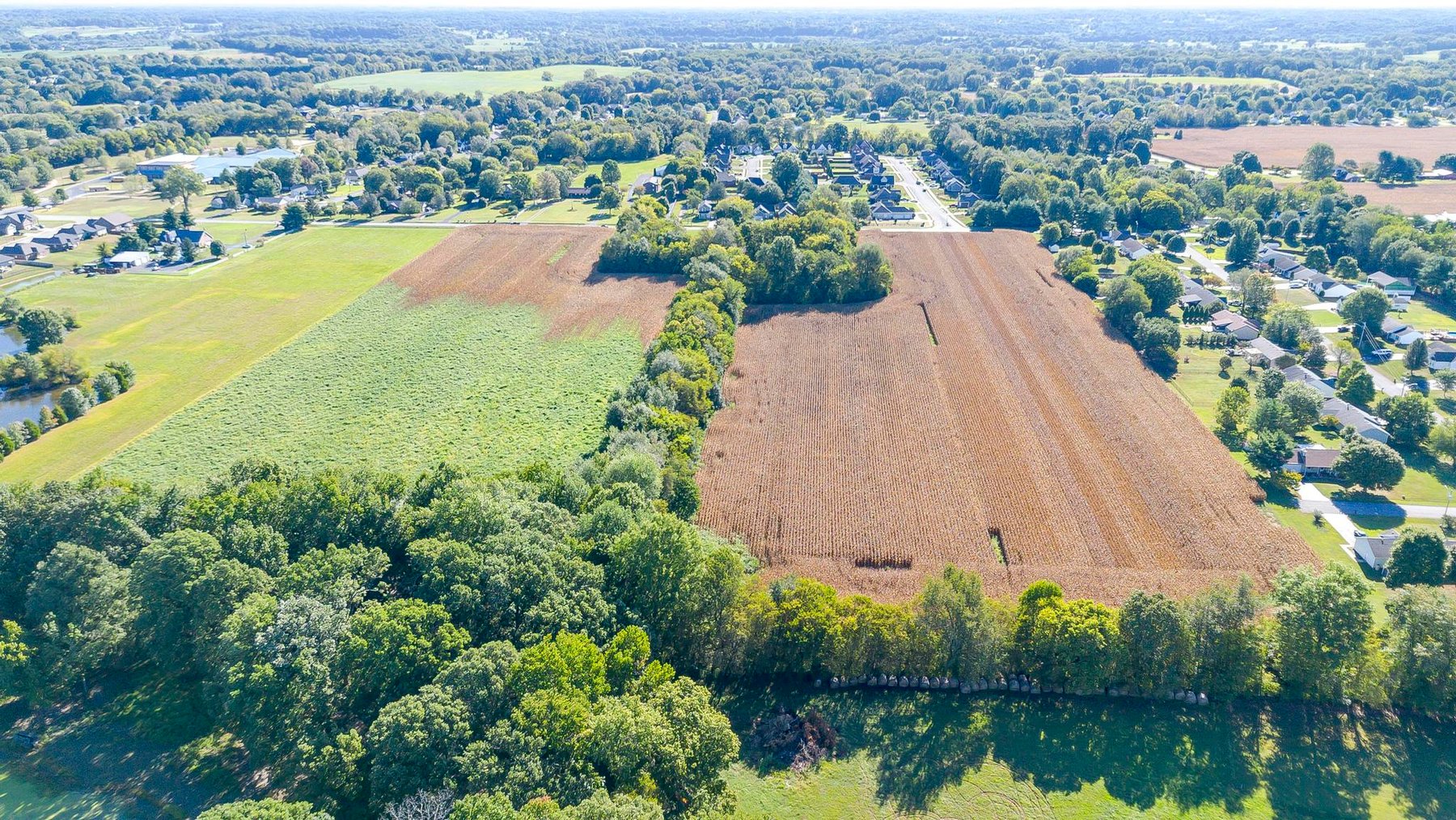 Image for Absolute Land Auction-30+/- Acres (Online Only)