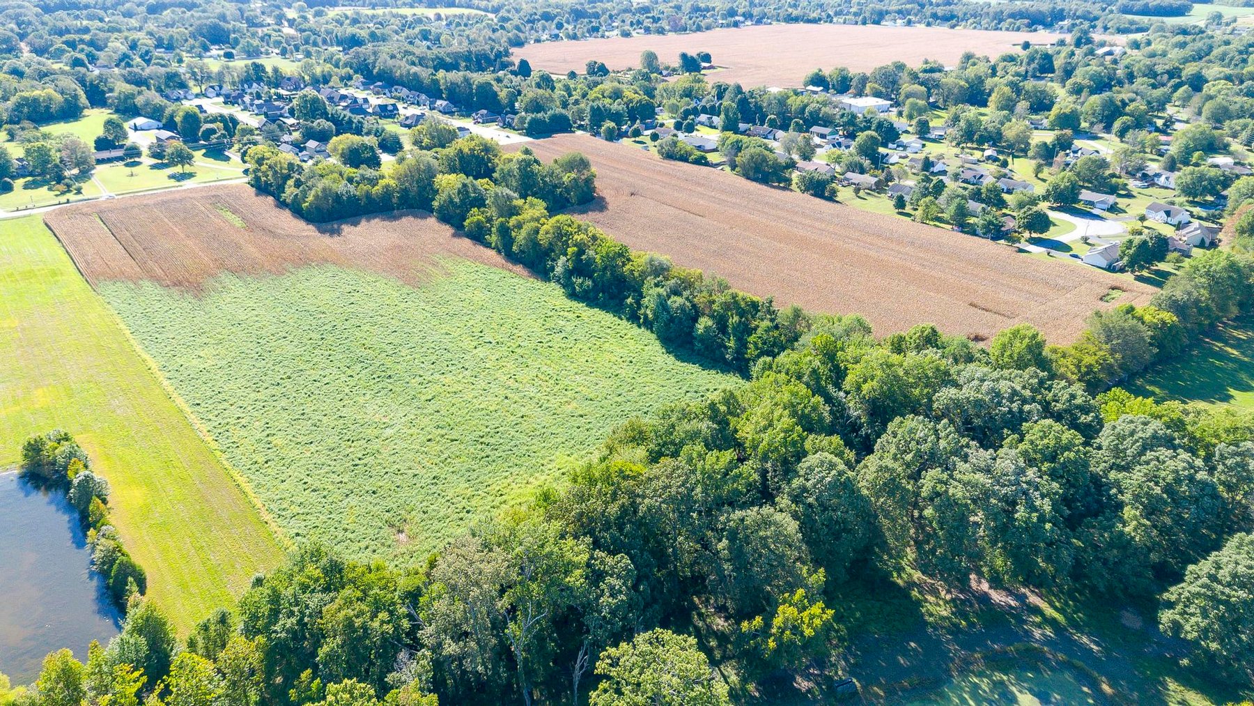 Image for Absolute Land Auction-30+/- Acres (Online Only)