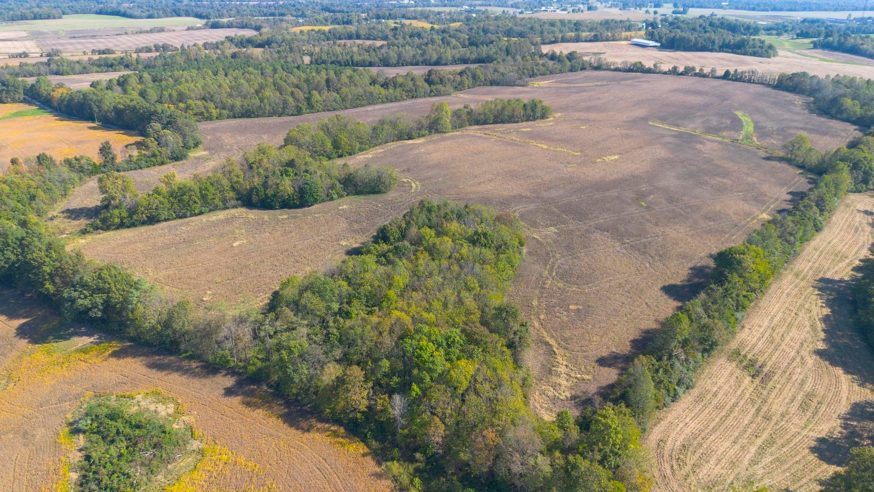 Image for 381 Kiper Whitworth Lane