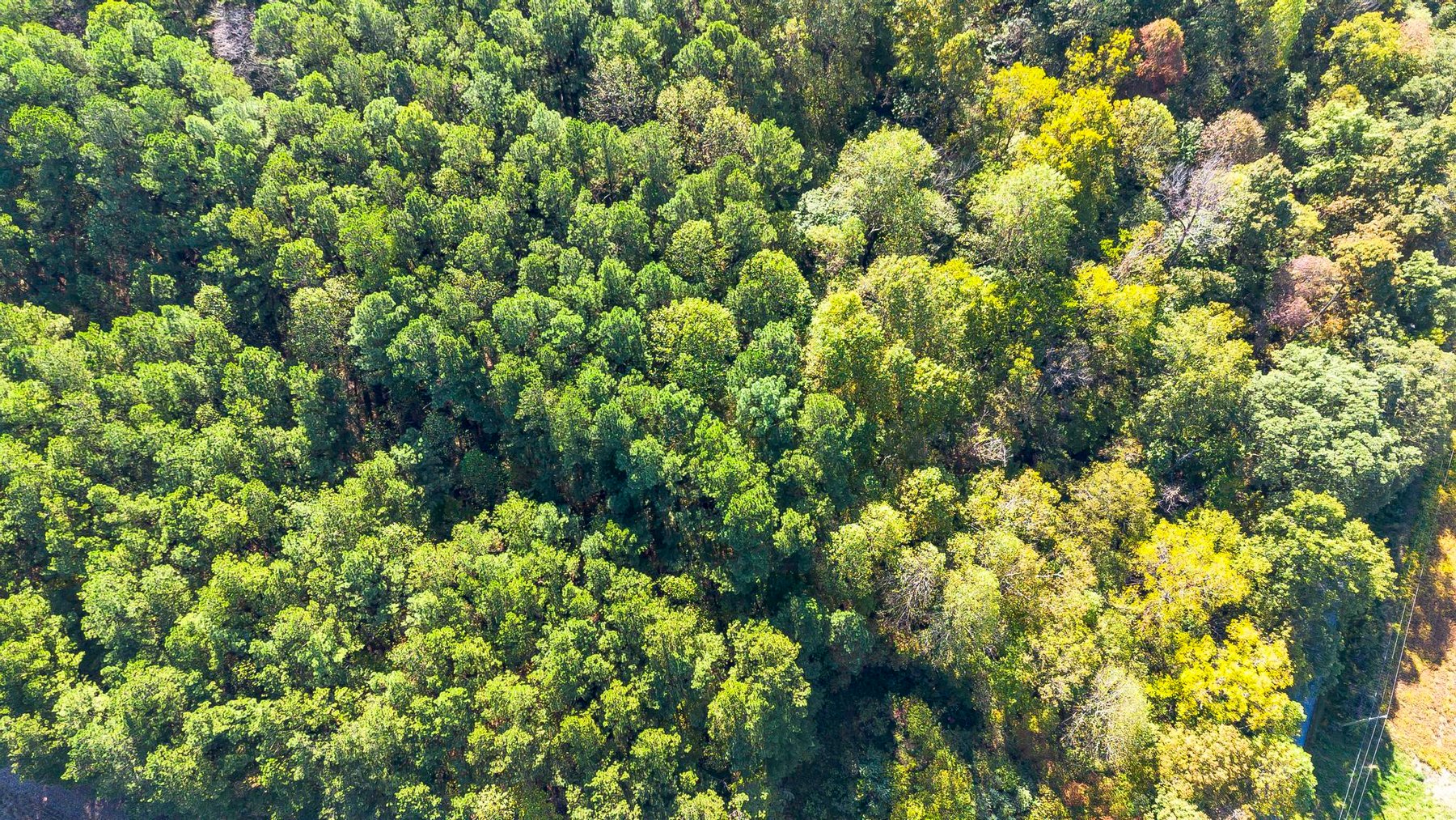 Image for 381 Kiper Whitworth Lane