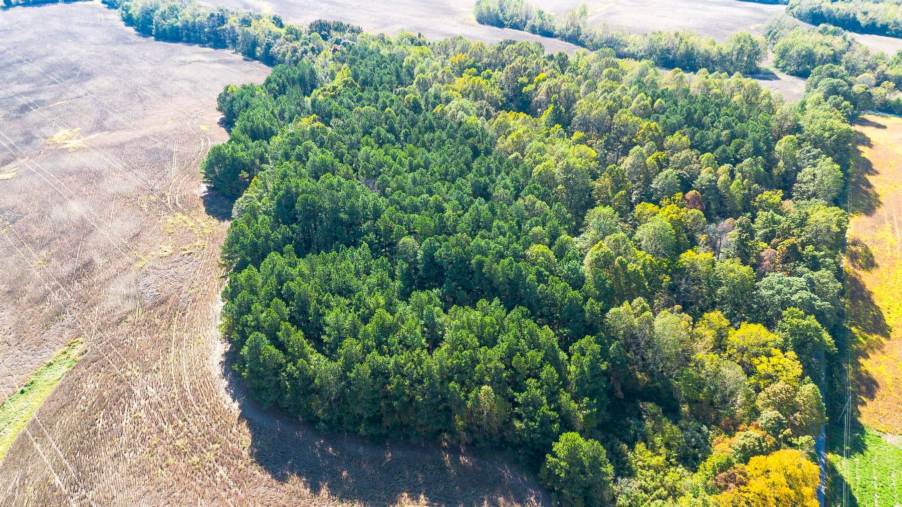 Image for 381 Kiper Whitworth Lane