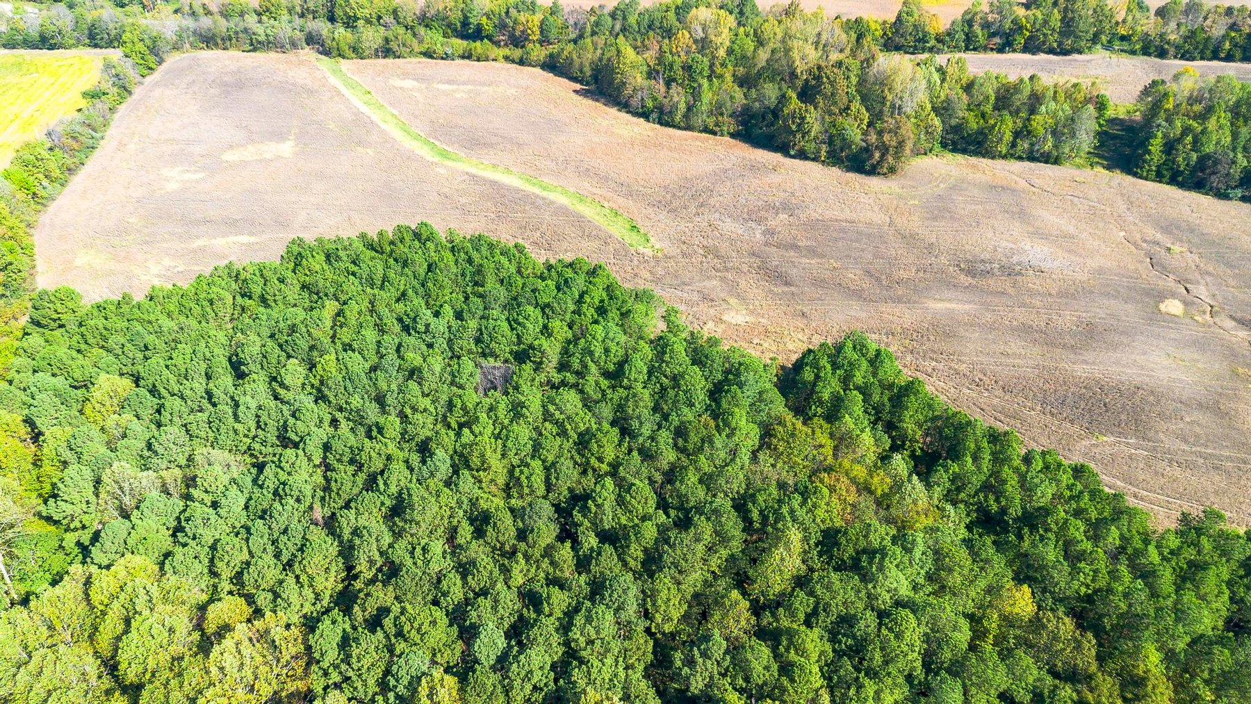 Image for 381 Kiper Whitworth Lane