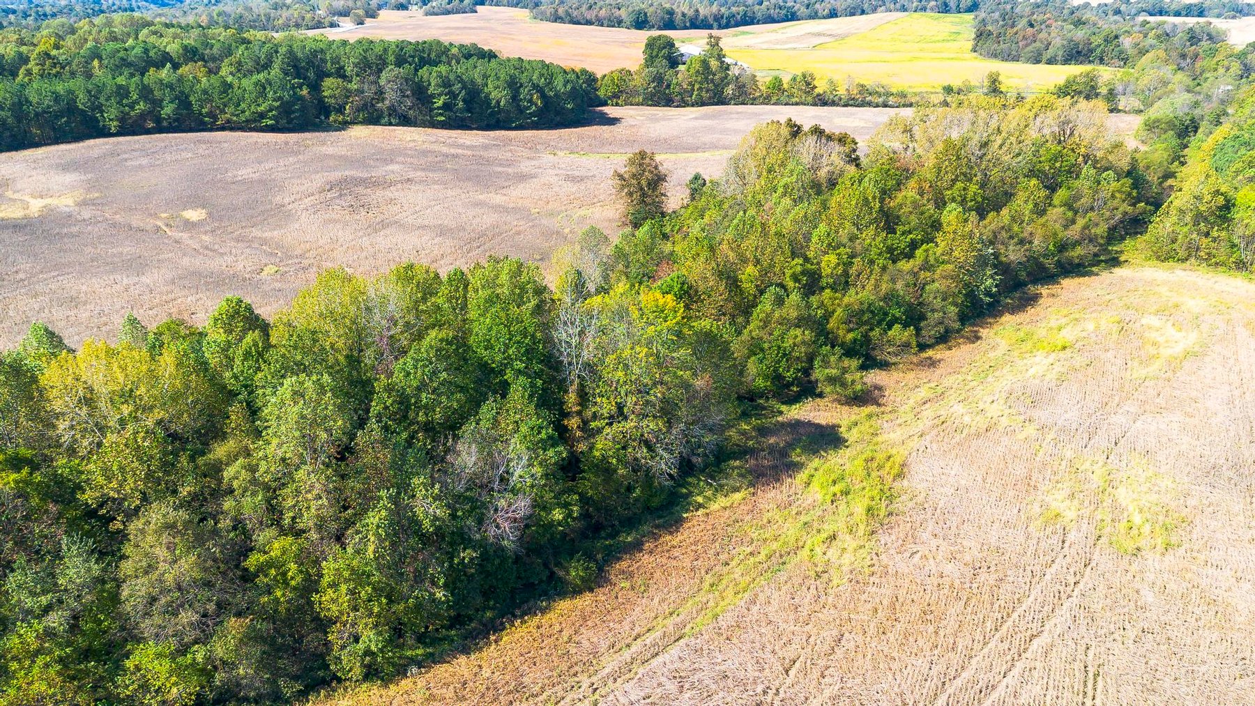 Image for 381 Kiper Whitworth Lane