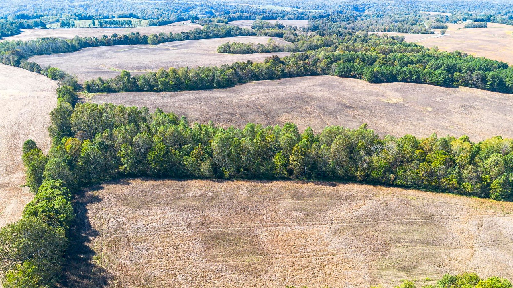 Image for 381 Kiper Whitworth Lane