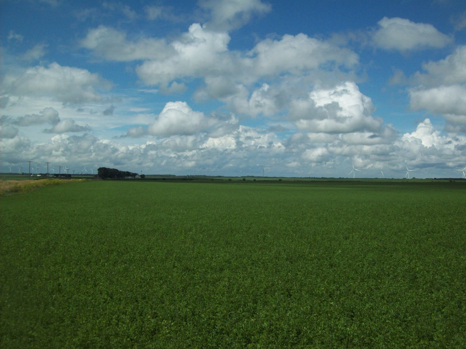 Image for Guither Sale