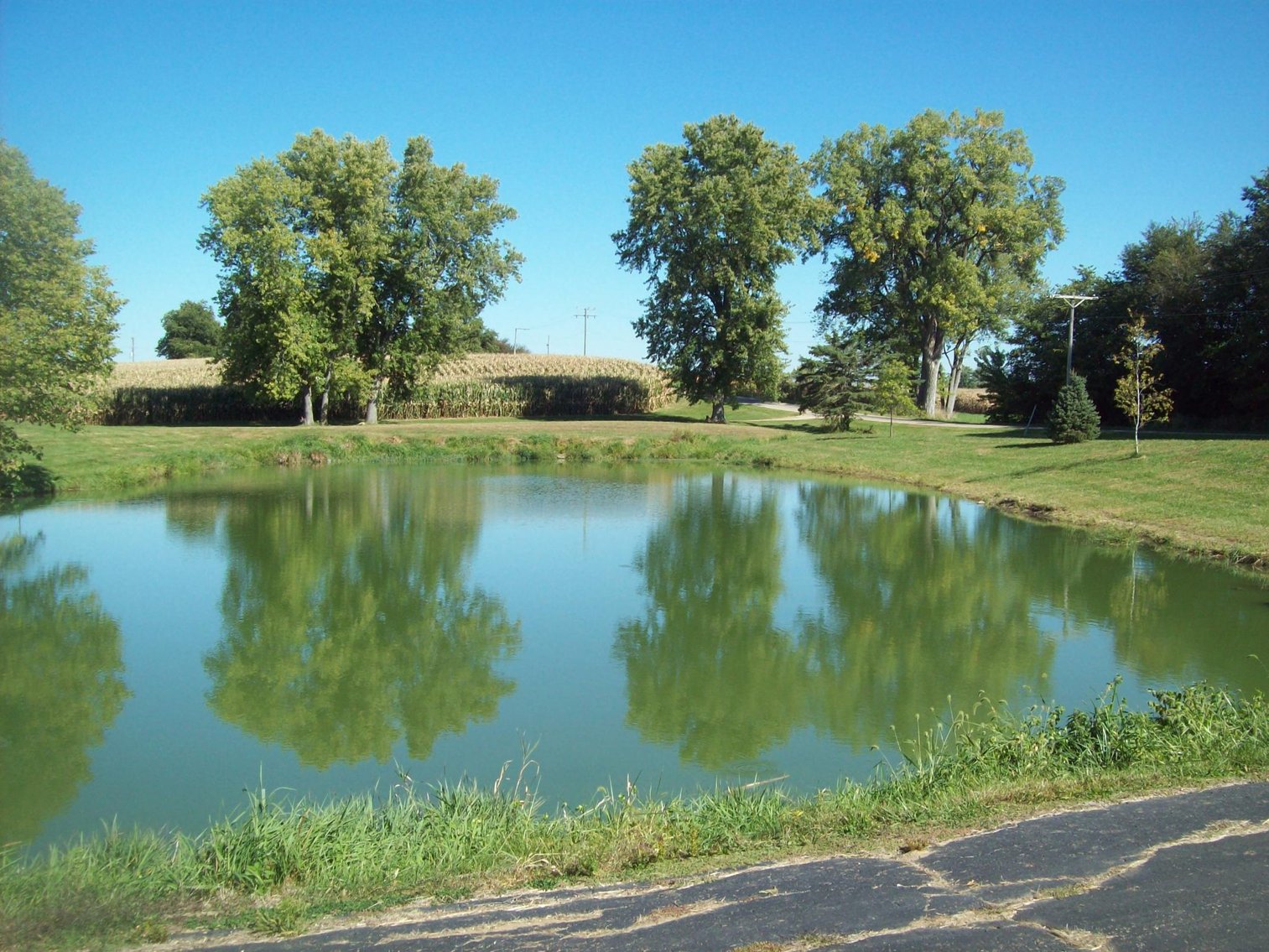 Image for 28065 1500 East St  Walnut, IL