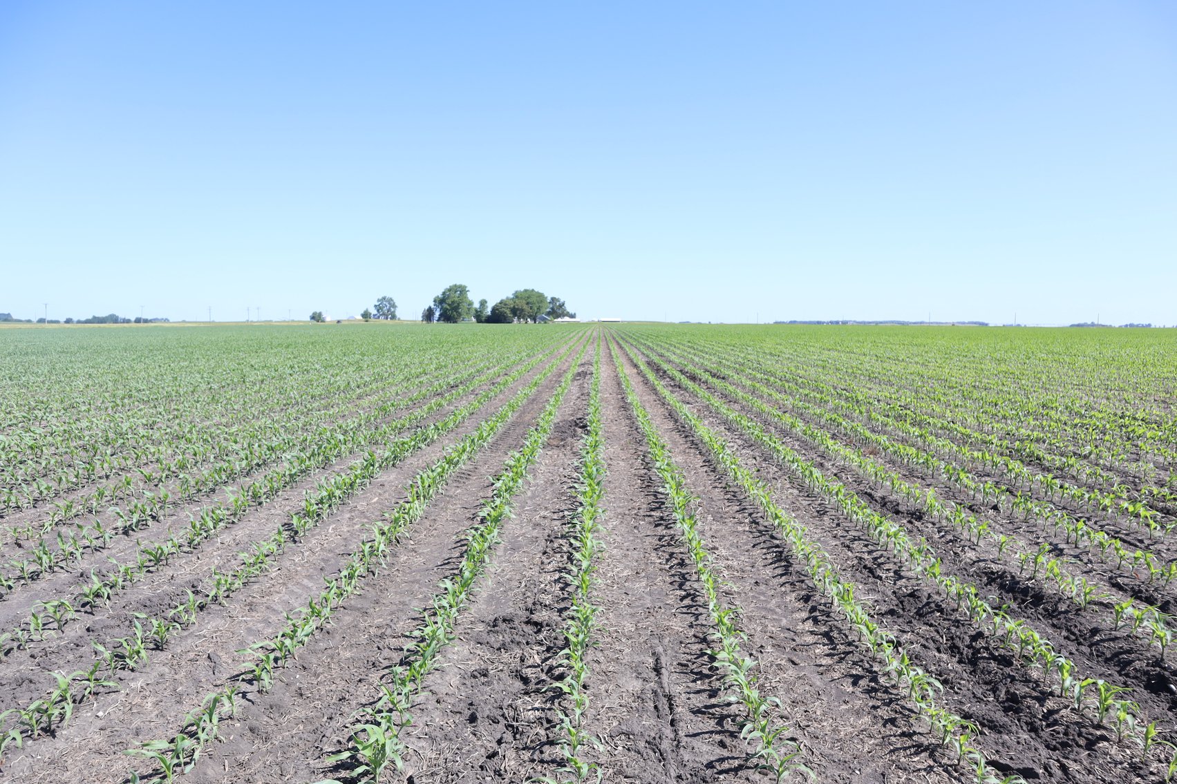 Image for Higgins Family Farm LLC