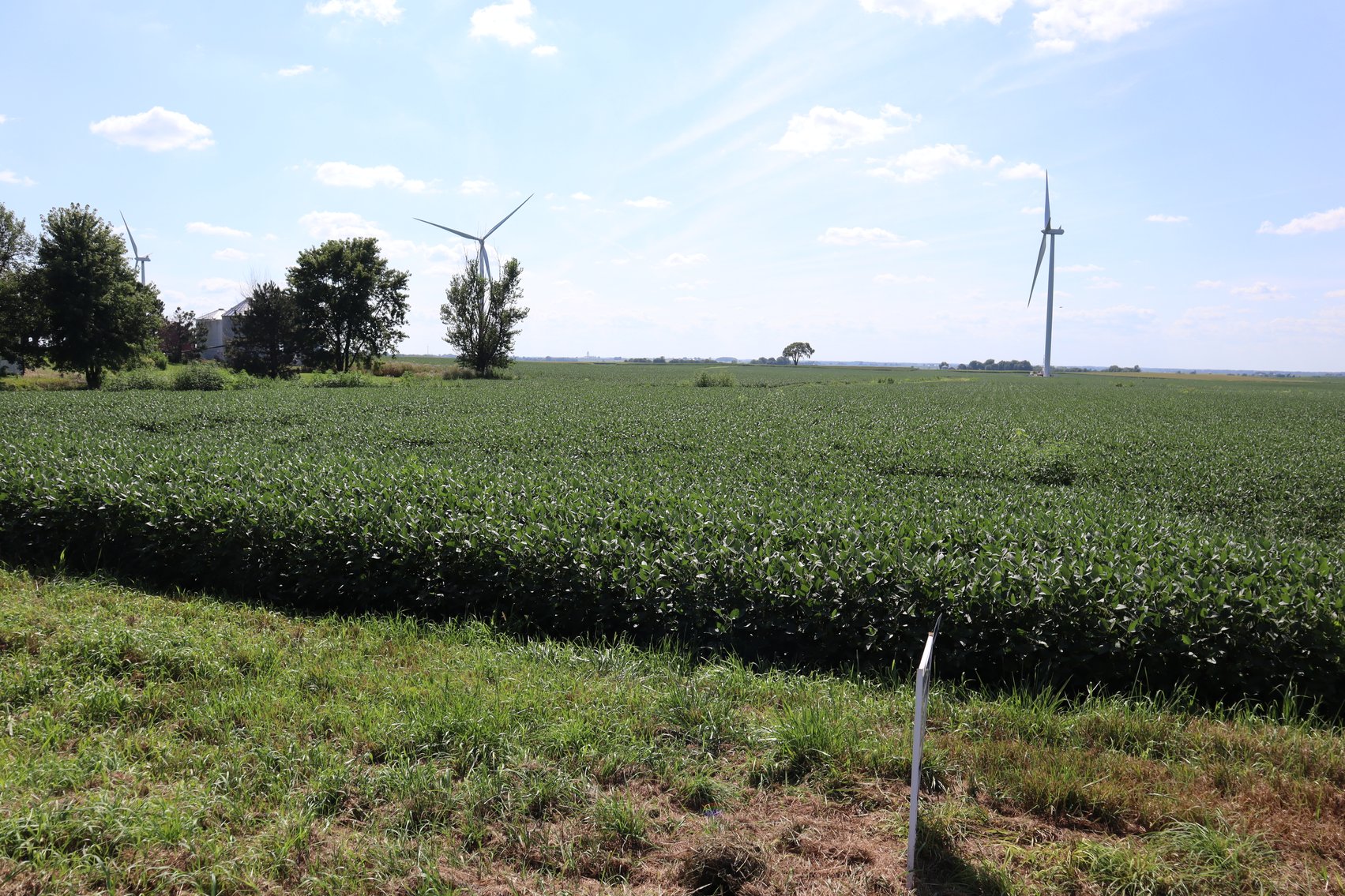 Image for Burton Raabe Farm 77 +/- Acres Manlius Township Bureau Co. IL