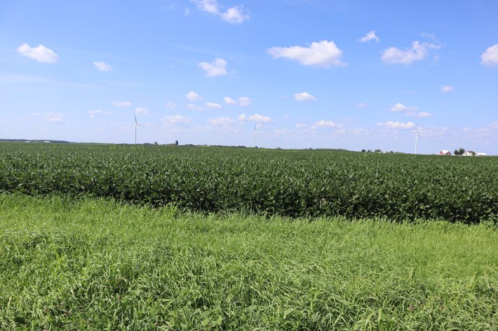 Image for Burton Raabe Farm 77 +/- Acres Manlius Township Bureau Co. IL