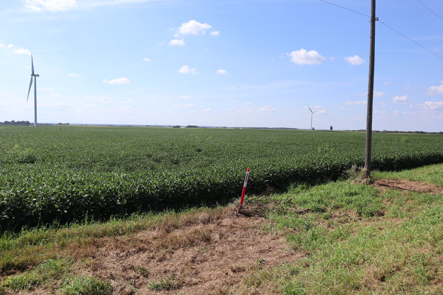 Image for Burton Raabe Farm 77 +/- Acres Manlius Township Bureau Co. IL