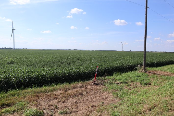 Image for Burton Raabe Farm 77 +/- Acres Manlius Township Bureau Co. IL