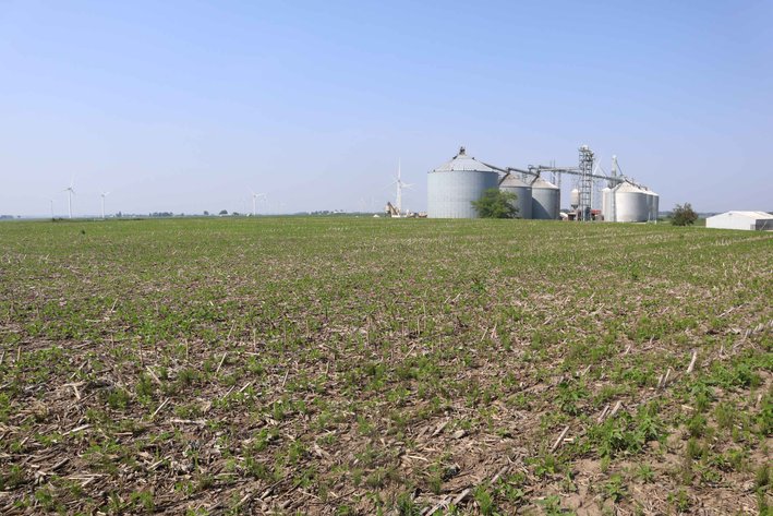 Image for Barbara DeBruhl Farm Auction