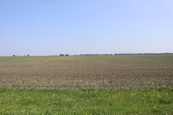 Image for Michael Maynard Farmland Auction