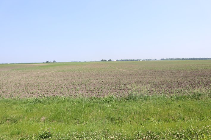 Image for Michael Maynard Farmland Auction