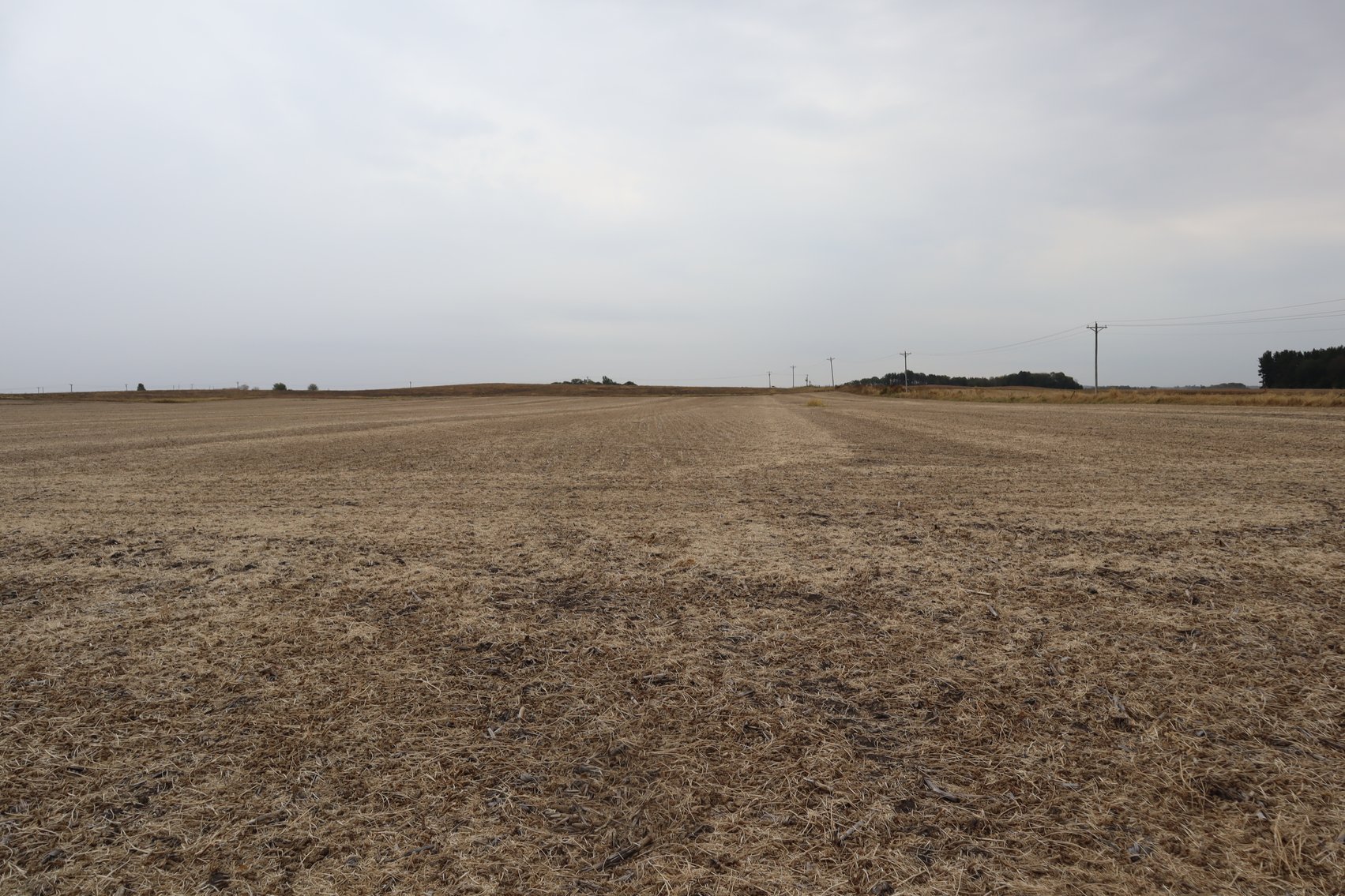 Image for Jensen Farm