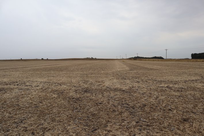 Image for Jensen Farm