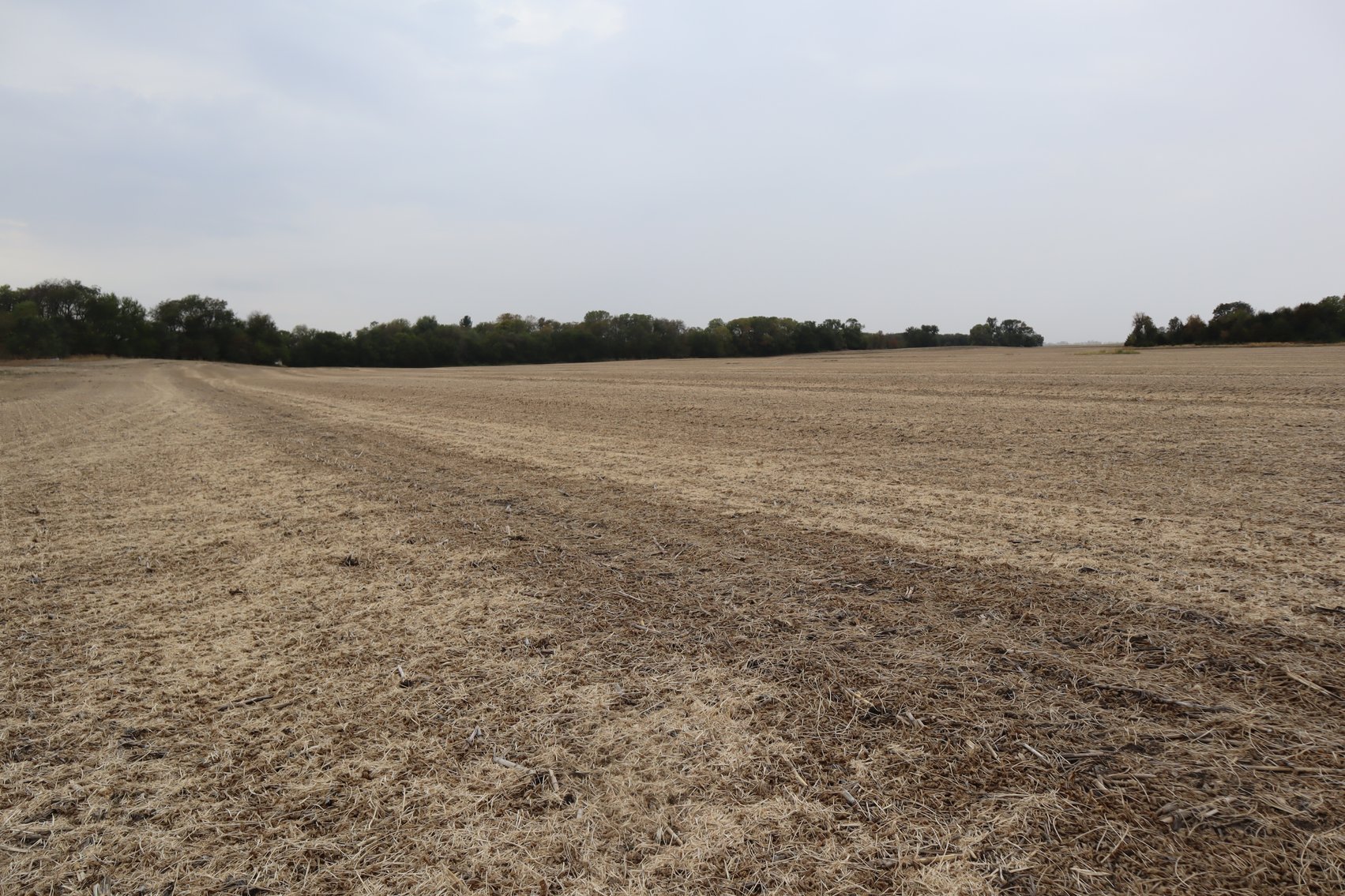 Image for Jensen Farm