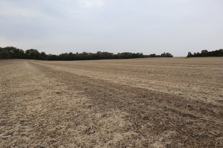 Image for Jensen Farm