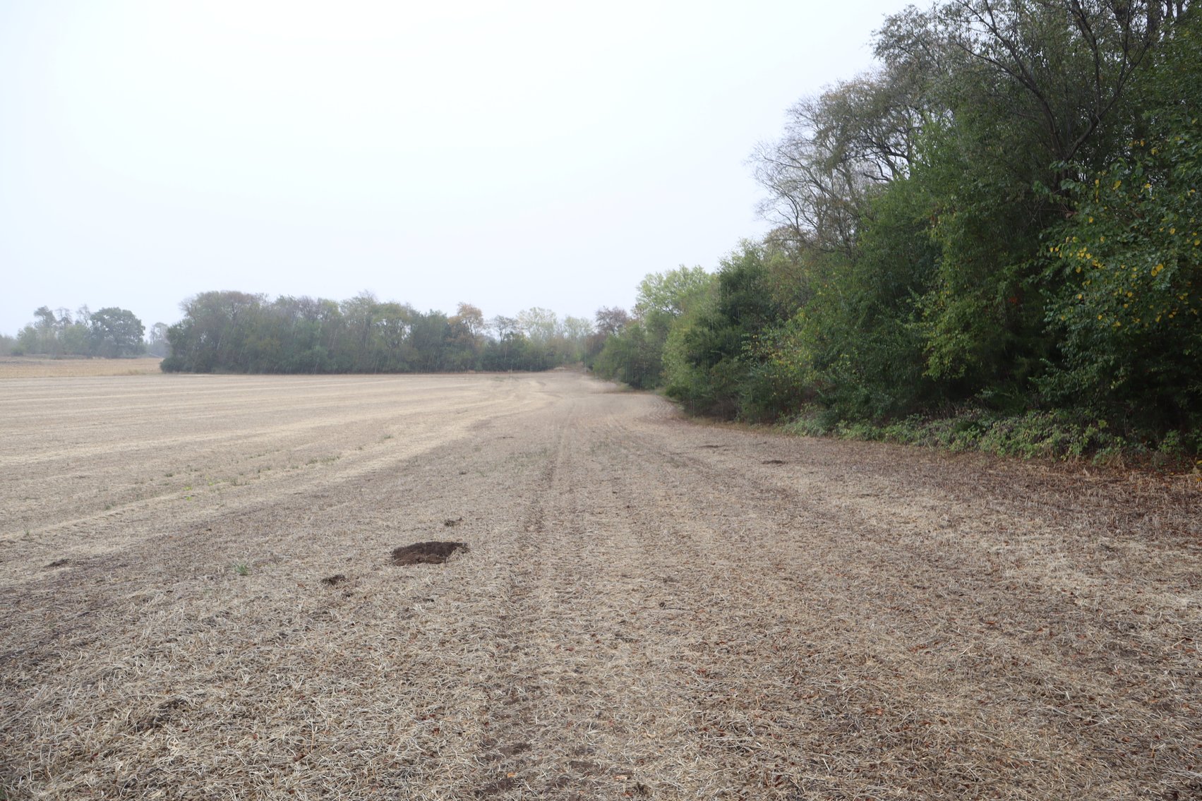 Image for Jensen Farm