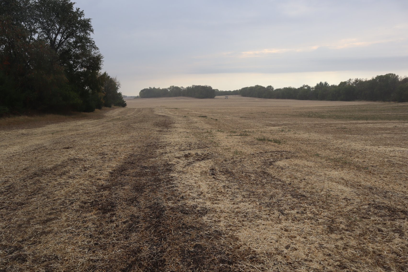 Image for Jensen Farm