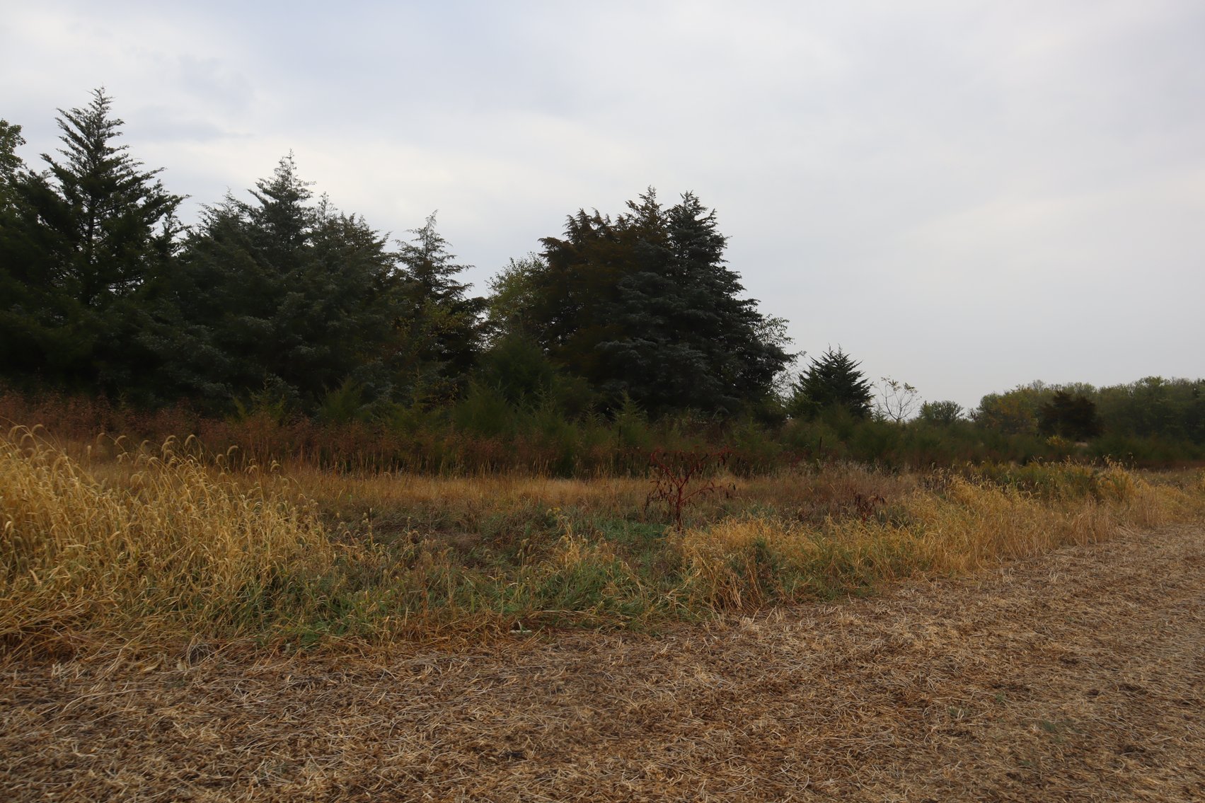 Image for Jensen Farm