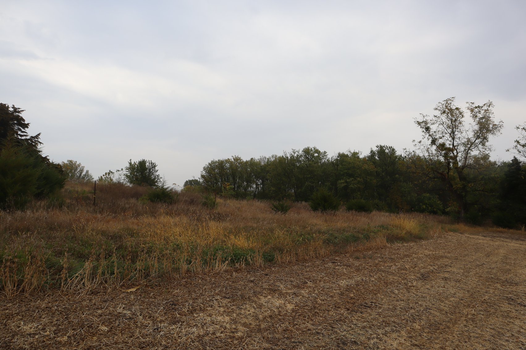 Image for Jensen Farm