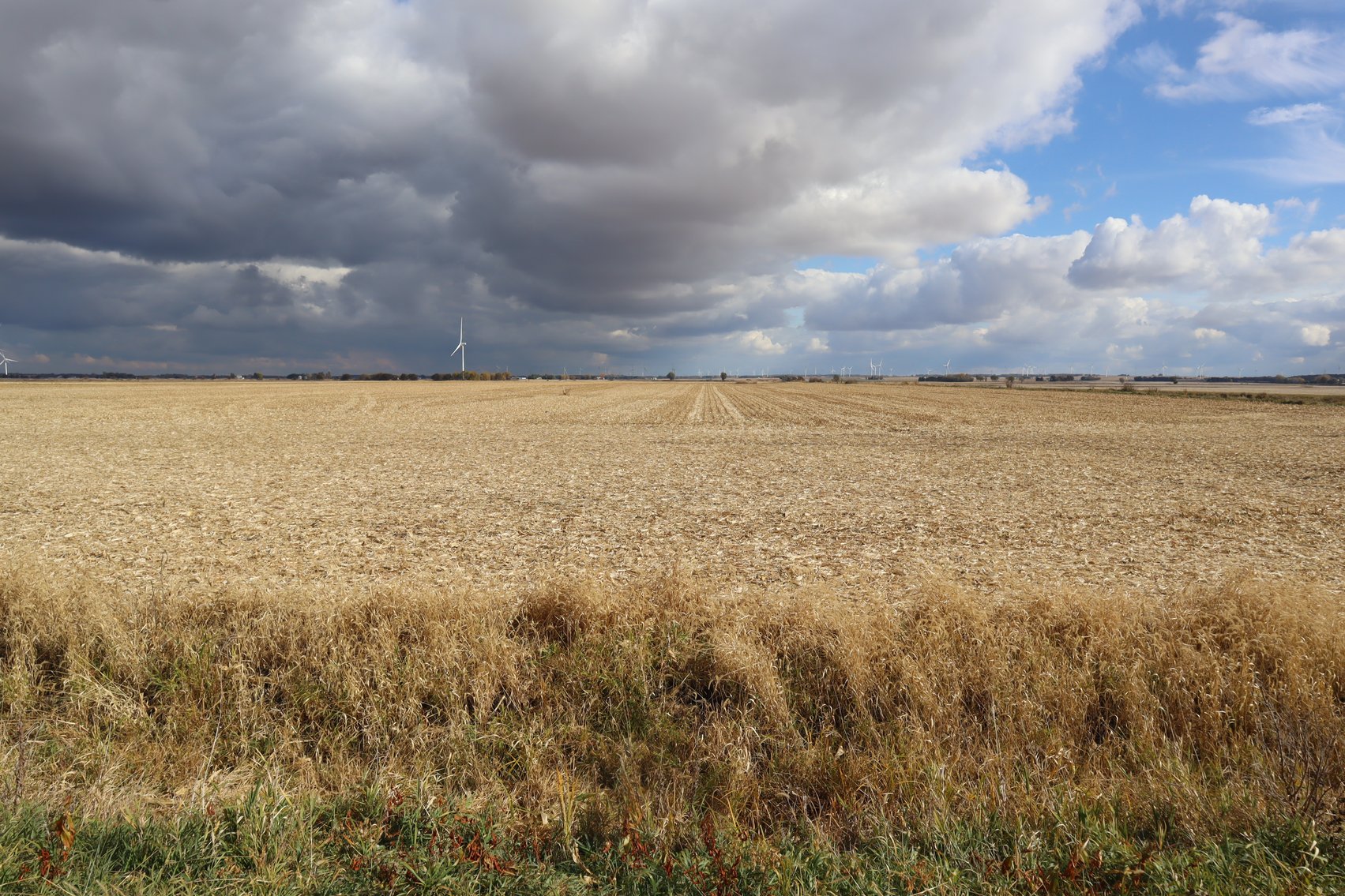 Image for Von Holten Farmland