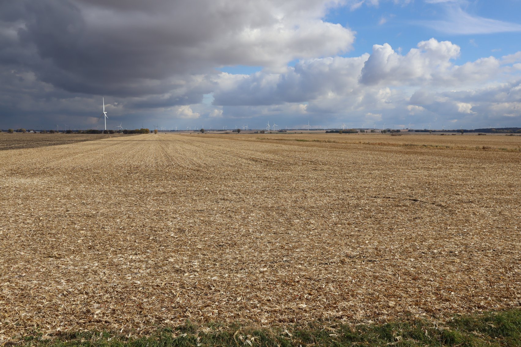 Image for Von Holten Farmland