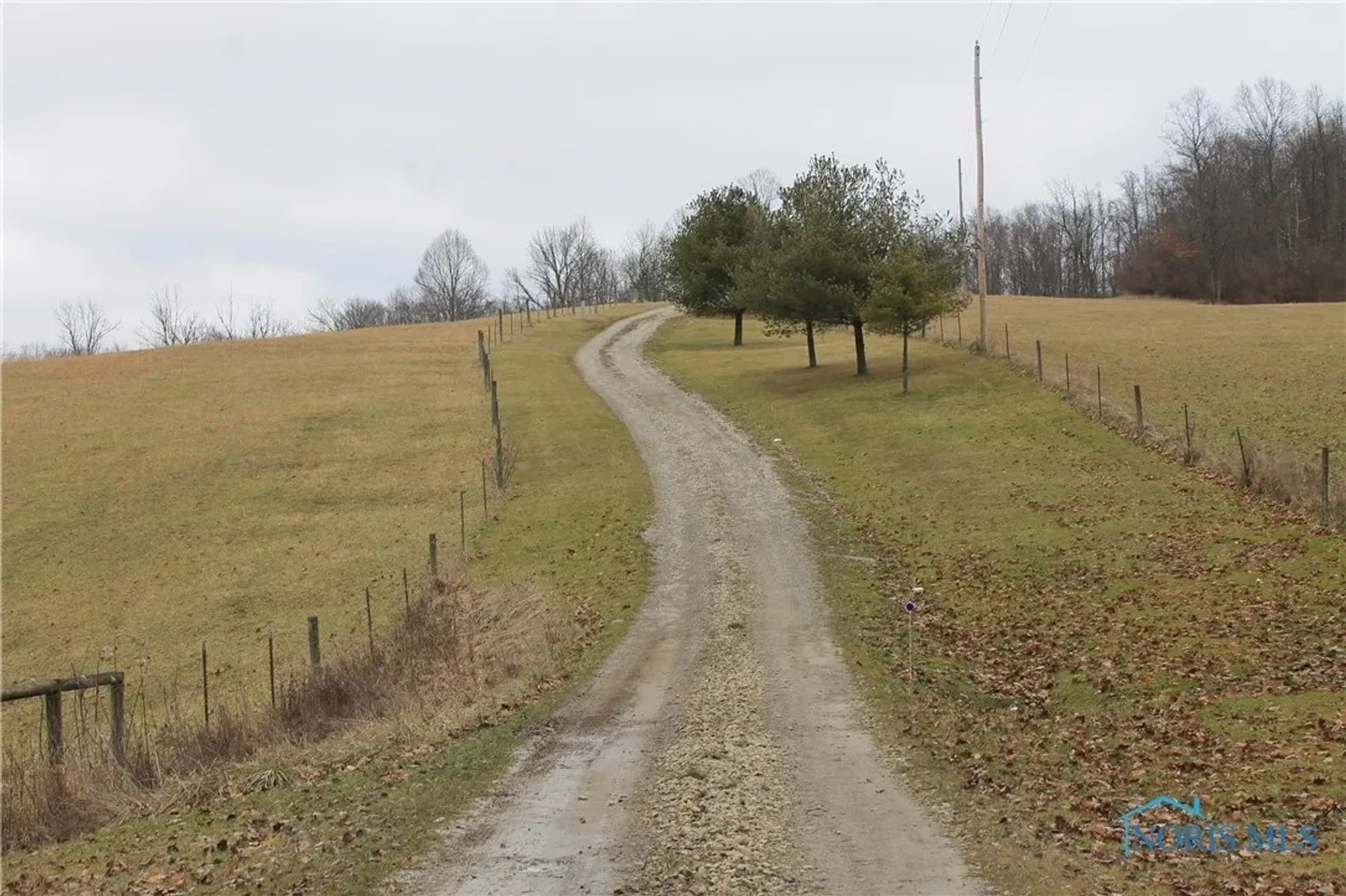 Image for MINIMUM BID AUCTION $750,000! 18063 Sligo Rd