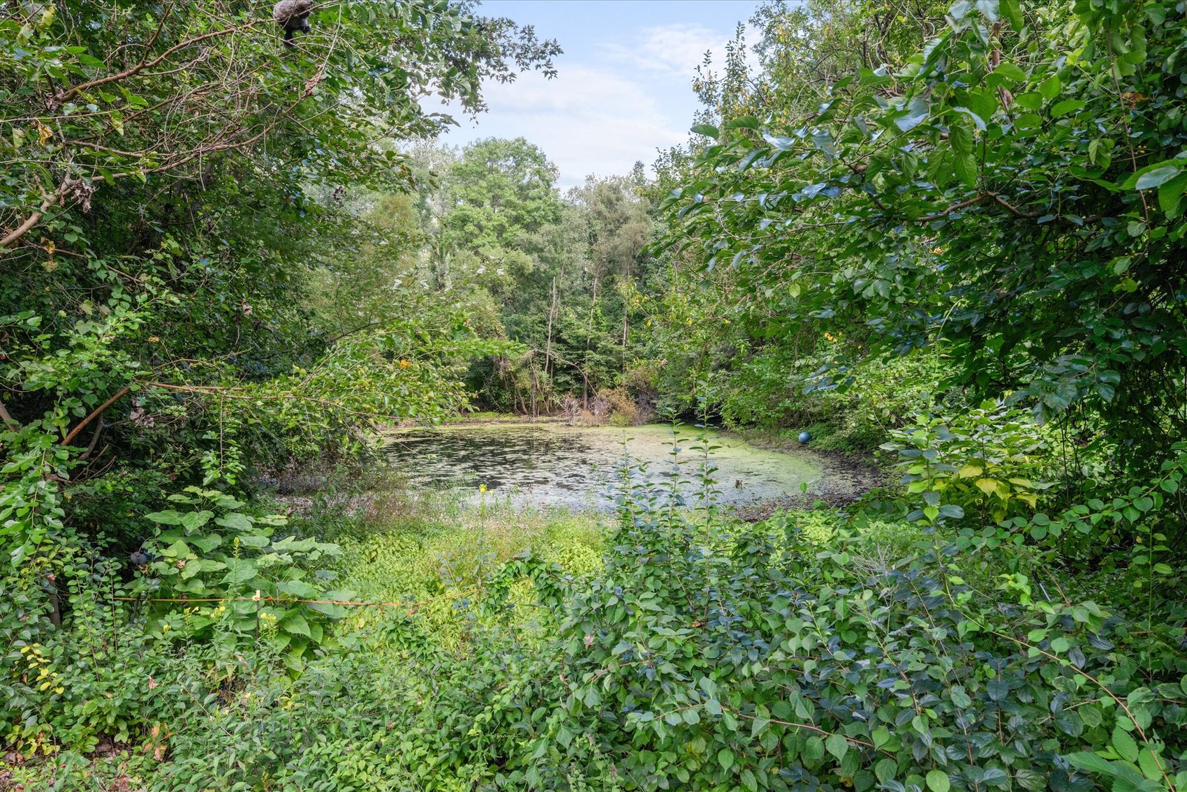 Image for MINIMUM BID AUCTION $199,000! 450 N. Eber Rd