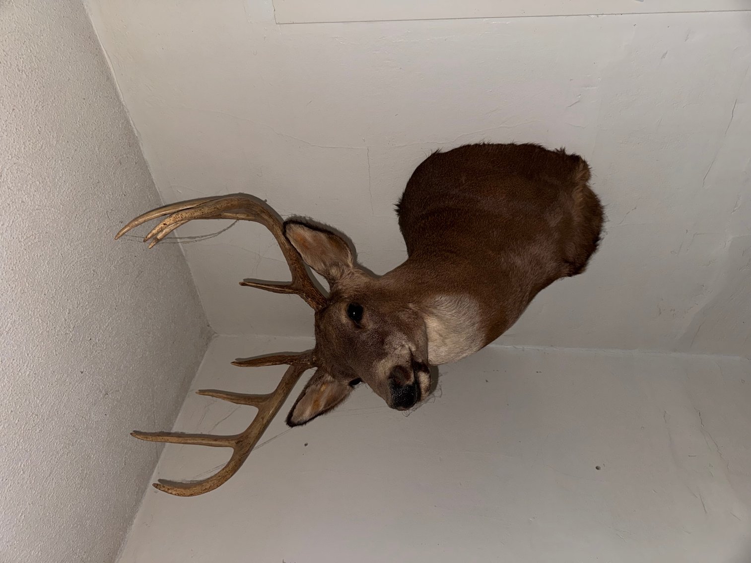 Image for TOYOTA TRUCKS, TOOLS AND MORE ONLINE ONLY AUCTION