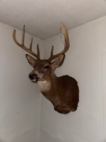 Image for TOYOTA TRUCKS, TOOLS AND MORE ONLINE ONLY AUCTION